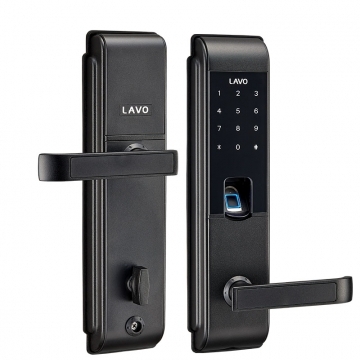 L31