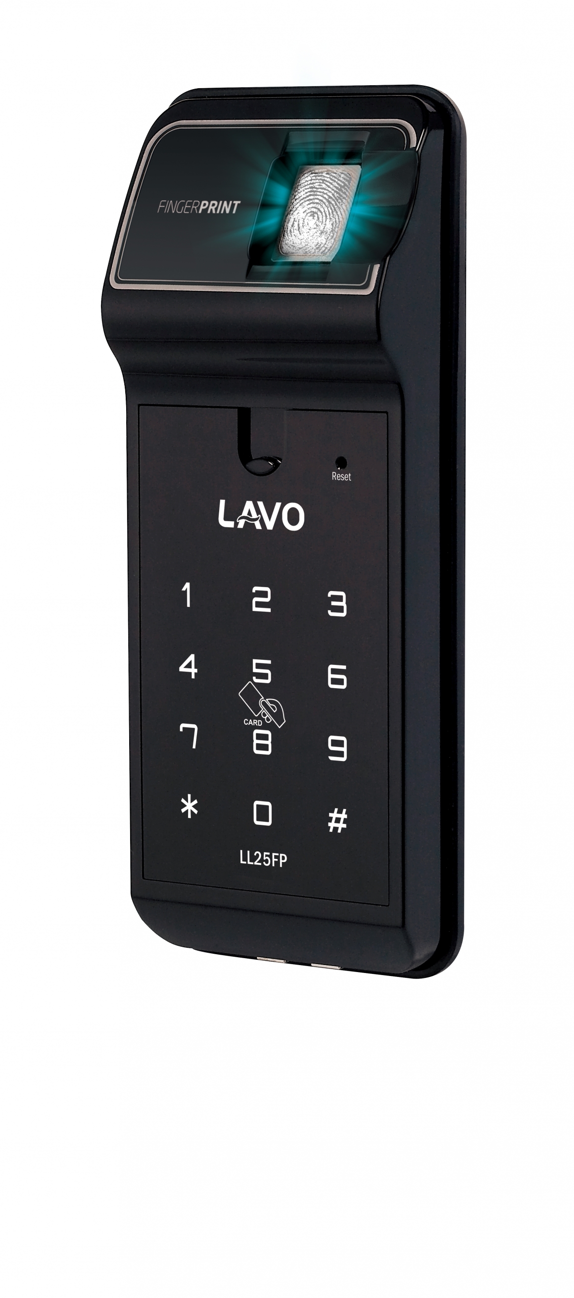 LL25FP